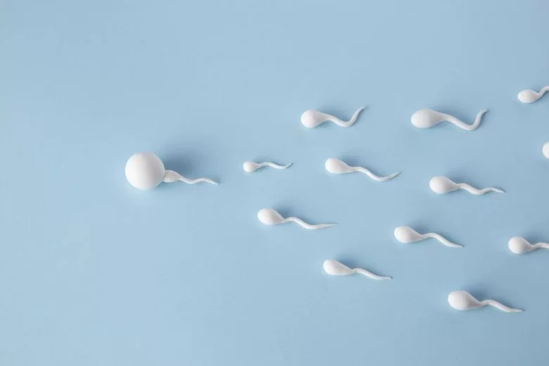 Aumentar el número de espermatozoides: desbloquear los secretos de la naturaleza para una fertilidad óptima